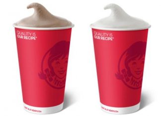 Wendy's Frosty Classic Chocolate and Vanilla