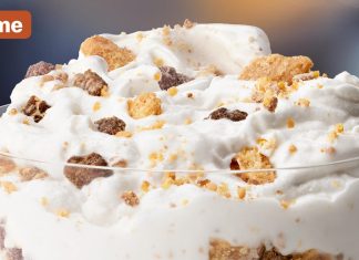 McDonald's Peanut Butter Crunch McFlurry